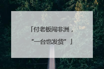 付老板闯非洲，“一台也发货”