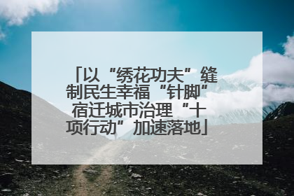 以“绣花功夫”缝制民生幸福“针脚” 宿迁城市治理“十项行动”加速落地