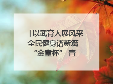 以武育人展风采 全民健身谱新篇 “金童杯” 青少年散打搏击邀请赛圆满落幕