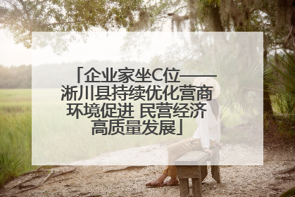企业家坐C位——淅川县持续优化营商环境促进 民营经济高质量发展