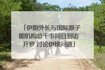 伊朗外长与国际原子能机构总干事同日到访开罗 讨论伊核问题