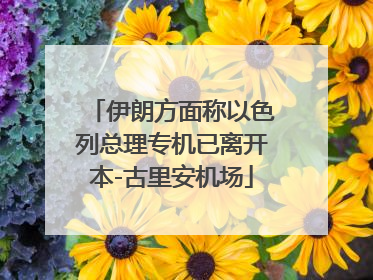 伊朗方面称以色列总理专机已离开本-古里安机场