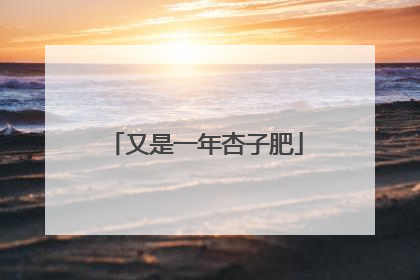 又是一年杏子肥