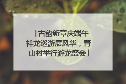 古韵新章庆端午 祥龙巡游展风华，青山村举行游龙盛会