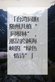 台湾同胞随州共植“同根林”，那是跨越海峡的“绿色情诗”