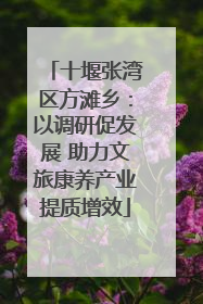 十堰张湾区方滩乡：以调研促发展 助力文旅康养产业提质增效