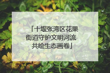 十堰张湾区花果街道守护文明河流 共绘生态画卷