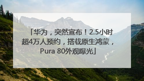 华为，突然宣布！2.5小时超4万人预约，搭载原生鸿蒙，Pura 80外观曝光