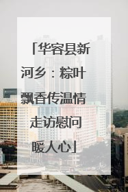 华容县新河乡：粽叶飘香传温情 走访慰问暖人心