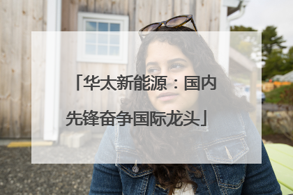 华太新能源：国内先锋奋争国际龙头