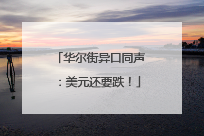 华尔街异口同声：美元还要跌！