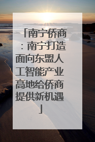 南宁侨商：南宁打造面向东盟人工智能产业高地给侨商提供新机遇