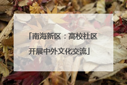 南海新区：高校社区开展中外文化交流