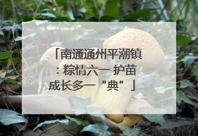 南通通州平潮镇：粽情六一 护苗成长多一“典”