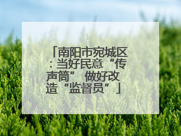 南阳市宛城区：当好民意“传声筒” 做好改造“监督员”