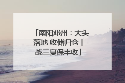 南阳邓州：大头落地 收储归仓丨战三夏保丰收