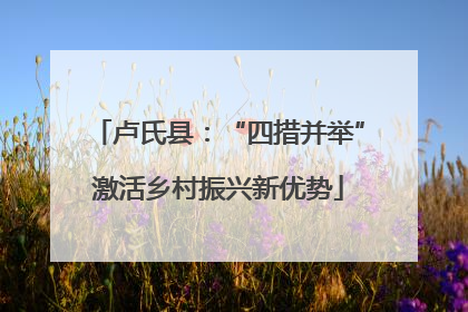 卢氏县：“四措并举”激活乡村振兴新优势