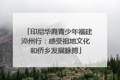 印尼华裔青少年福建漳州行：感受祖地文化和侨乡发展脉搏
