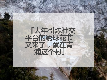 去年引爆社交平台的绣球花节又来了，就在青浦这个村