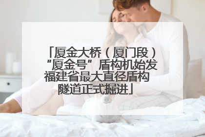 厦金大桥（厦门段）“厦金号”盾构机始发 福建省最大直径盾构隧道正式掘进