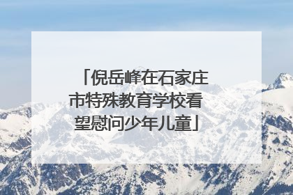 倪岳峰在石家庄市特殊教育学校看望慰问少年儿童