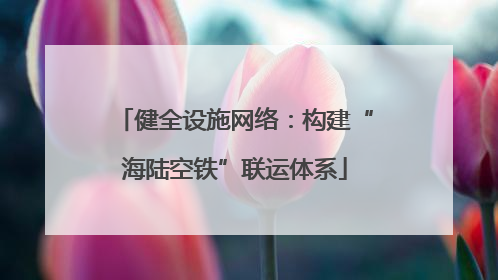 健全设施网络：构建“海陆空铁”联运体系