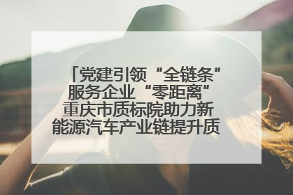 党建引领“全链条” 服务企业“零距离” 重庆市质标院助力新能源汽车产业链提升质量管理水平