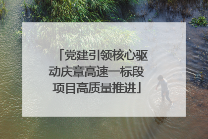 党建引领核心驱动庆章高速一标段项目高质量推进