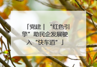 党建｜“红色引擎”助民企发展驶入“快车道”