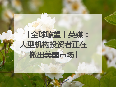全球瞭望丨英媒：大型机构投资者正在撤出美国市场