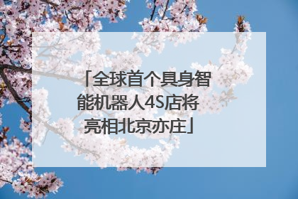 全球首个具身智能机器人4S店将亮相北京亦庄