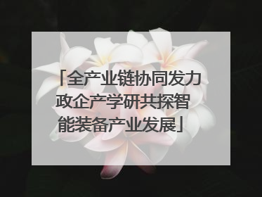 全产业链协同发力 政企产学研共探智能装备产业发展