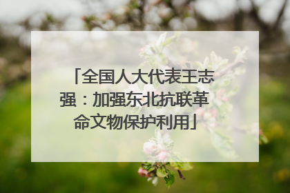 全国人大代表王志强：加强东北抗联革命文物保护利用