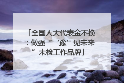 全国人大代表金不换：做强“‘豫’见未来”未检工作品牌