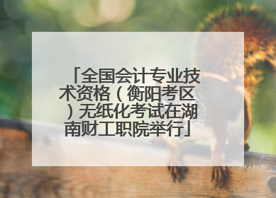 全国会计专业技术资格（衡阳考区）无纸化考试在湖南财工职院举行
