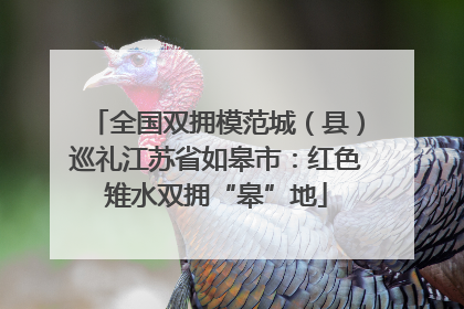 全国双拥模范城（县）巡礼江苏省如皋市：红色雉水双拥“皋”地