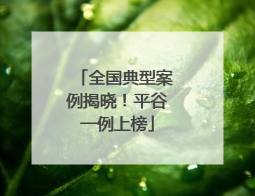 全国典型案例揭晓！平谷一例上榜