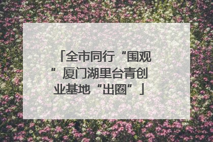 全市同行“围观”厦门湖里台青创业基地“出圈”
