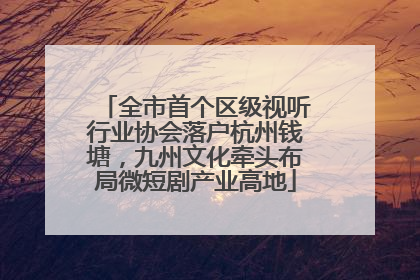全市首个区级视听行业协会落户杭州钱塘，九州文化牵头布局微短剧产业高地