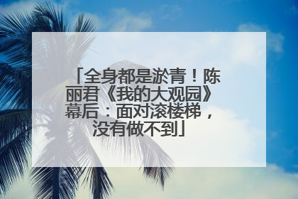全身都是淤青！陈丽君《我的大观园》幕后：面对滚楼梯，没有做不到