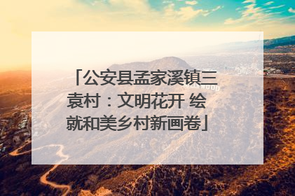 公安县孟家溪镇三袁村：文明花开 绘就和美乡村新画卷