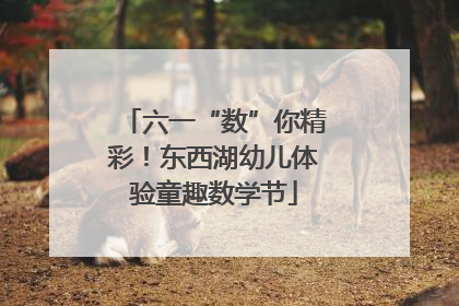 六一“数”你精彩！东西湖幼儿体验童趣数学节