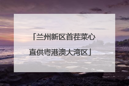 兰州新区首茬菜心直供粤港澳大湾区