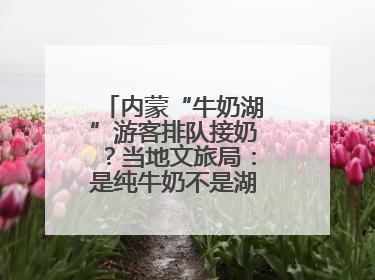 内蒙“牛奶湖”游客排队接奶？当地文旅局：是纯牛奶不是湖水，可放心喝