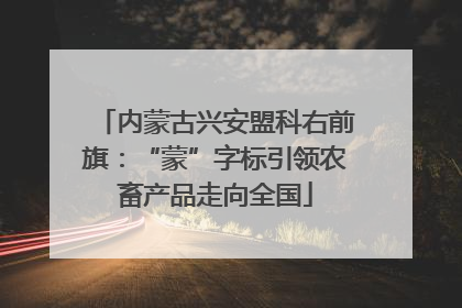 内蒙古兴安盟科右前旗：“蒙”字标引领农畜产品走向全国