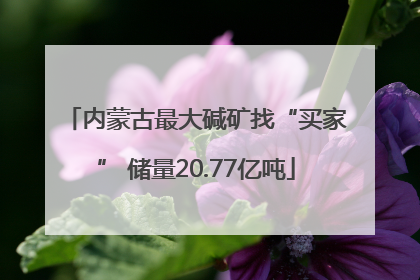 内蒙古最大碱矿找“买家” 储量20.77亿吨