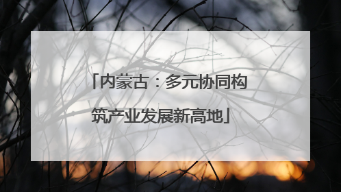 内蒙古：多元协同构筑产业发展新高地