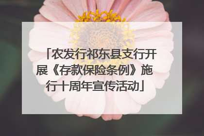 农发行祁东县支行开展《存款保险条例》施行十周年宣传活动