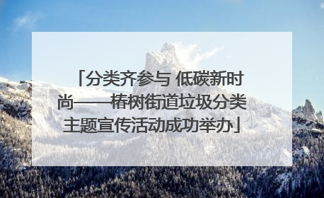 分类齐参与 低碳新时尚——椿树街道垃圾分类主题宣传活动成功举办