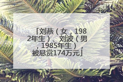 刘燕（女，1982年生）、刘波（男，1985年生），被悬赏174万元